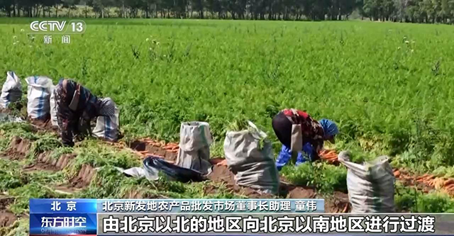 圖片3